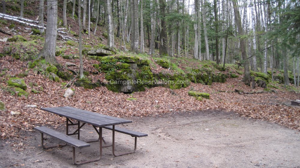 Photo of Campsite 42 in Daisy Field South Campground at Potawatomi